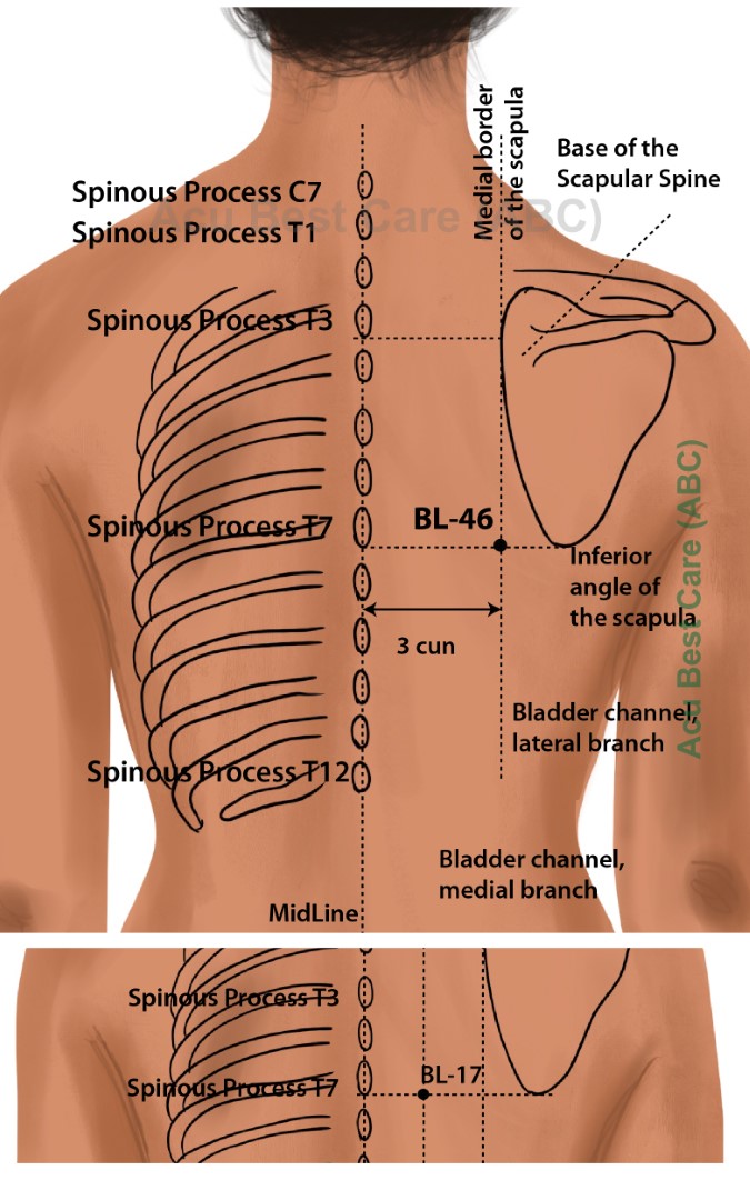 Acubestcare Meridian UB-46 or BL-46